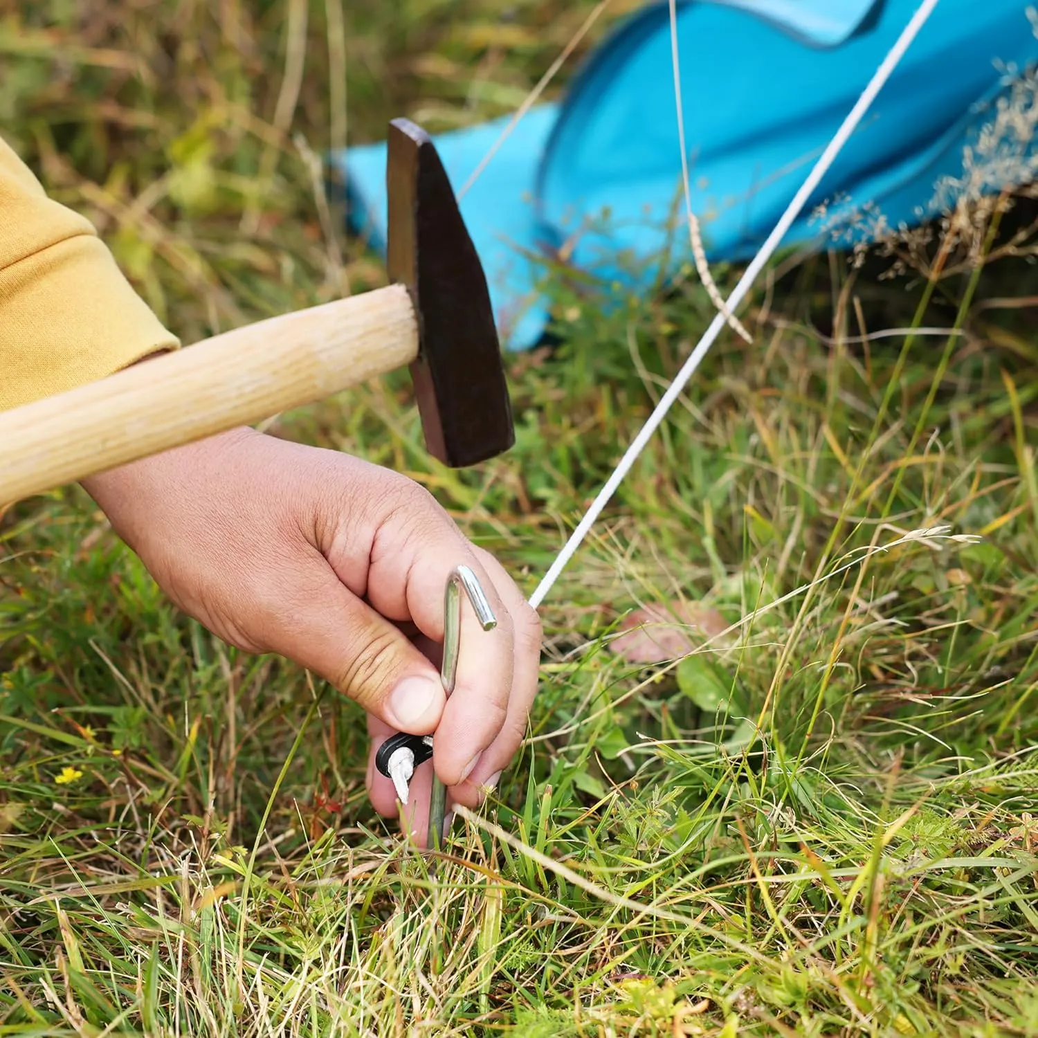 50 Pack Tent Pegs