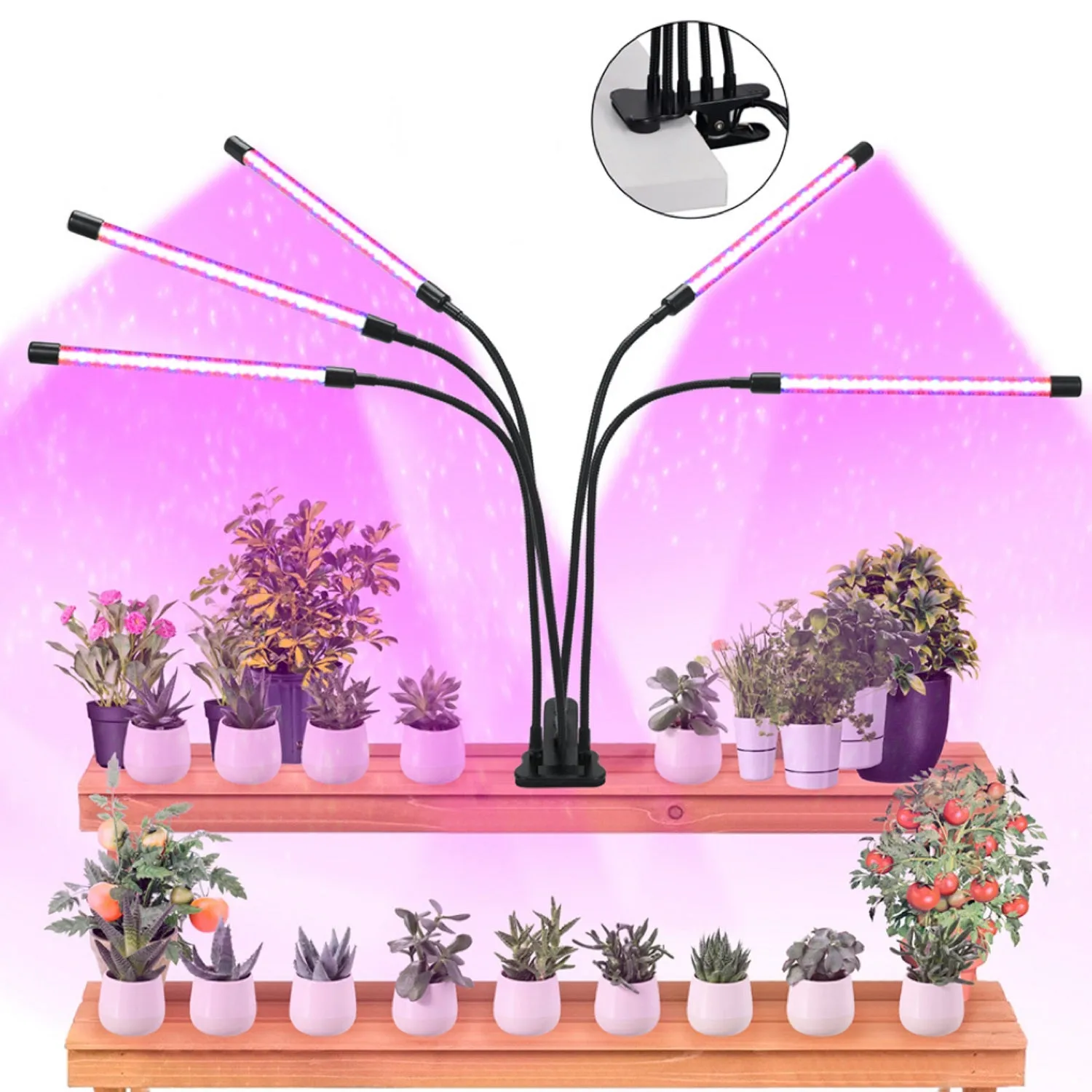 80W Flexible Plant Grow Light with Timer, 4 Heads - NOVEDEN