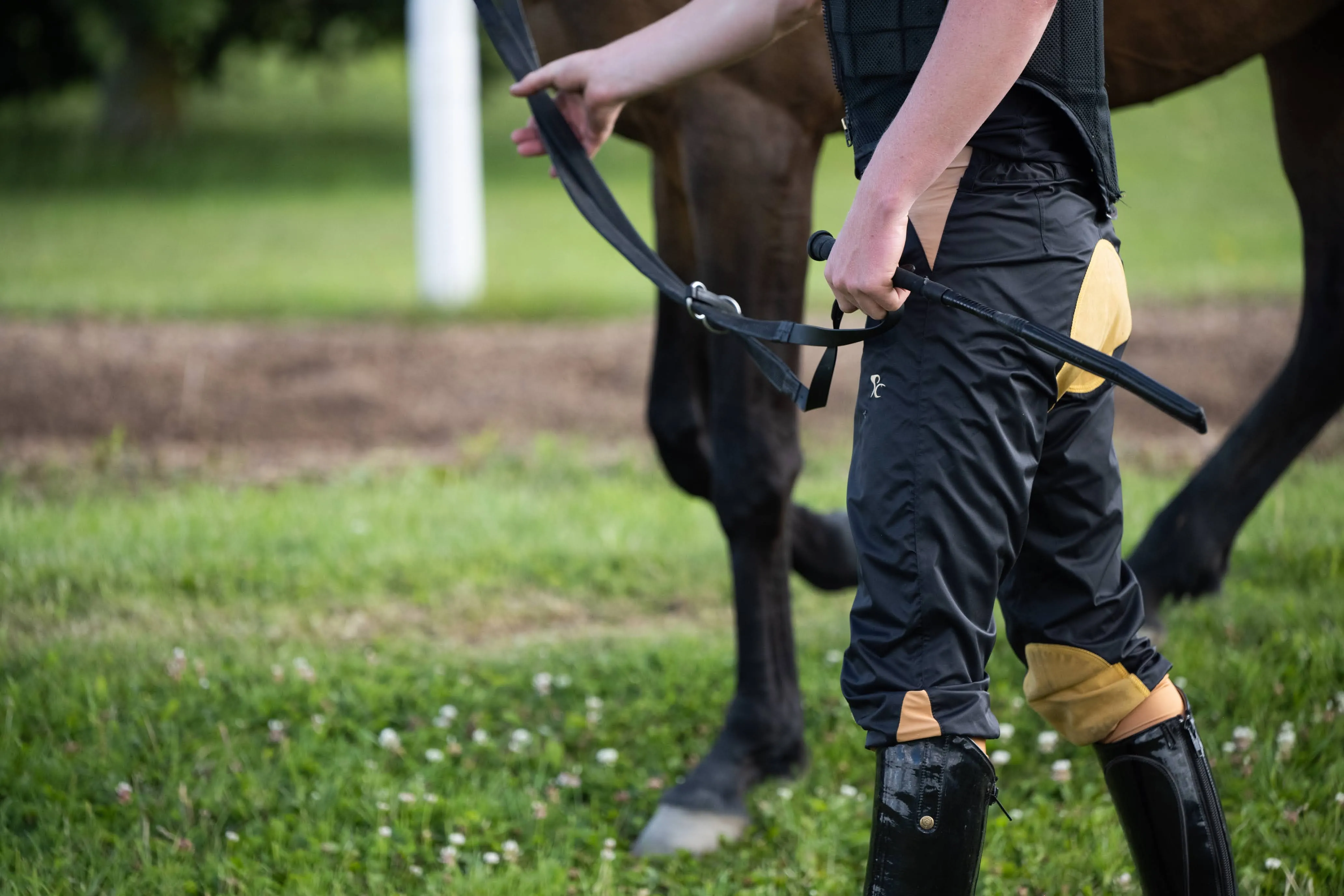 Adults Weatherproof Breeches - Black and Tan