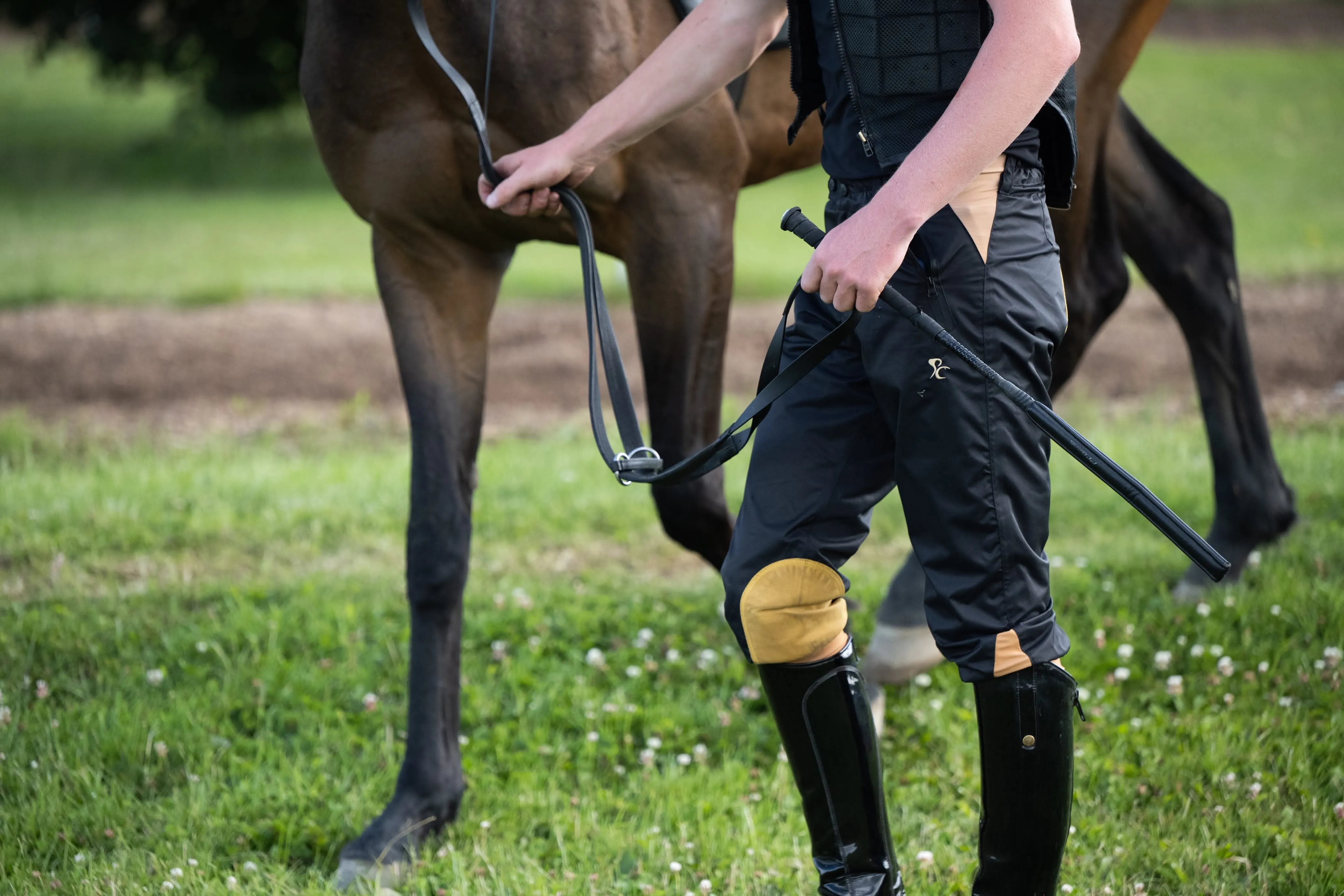 Adults Weatherproof Breeches - Black and Tan