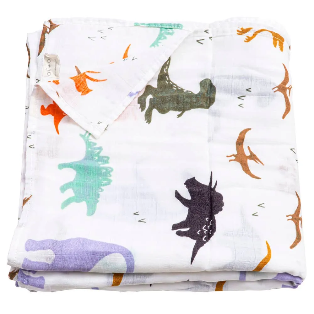 Dinosaurs Swaddle