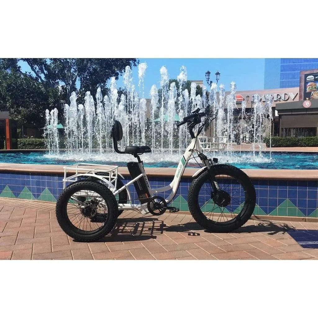 Emojo Caddy Pro 500W 48V Fat Tire Electric Tricycle