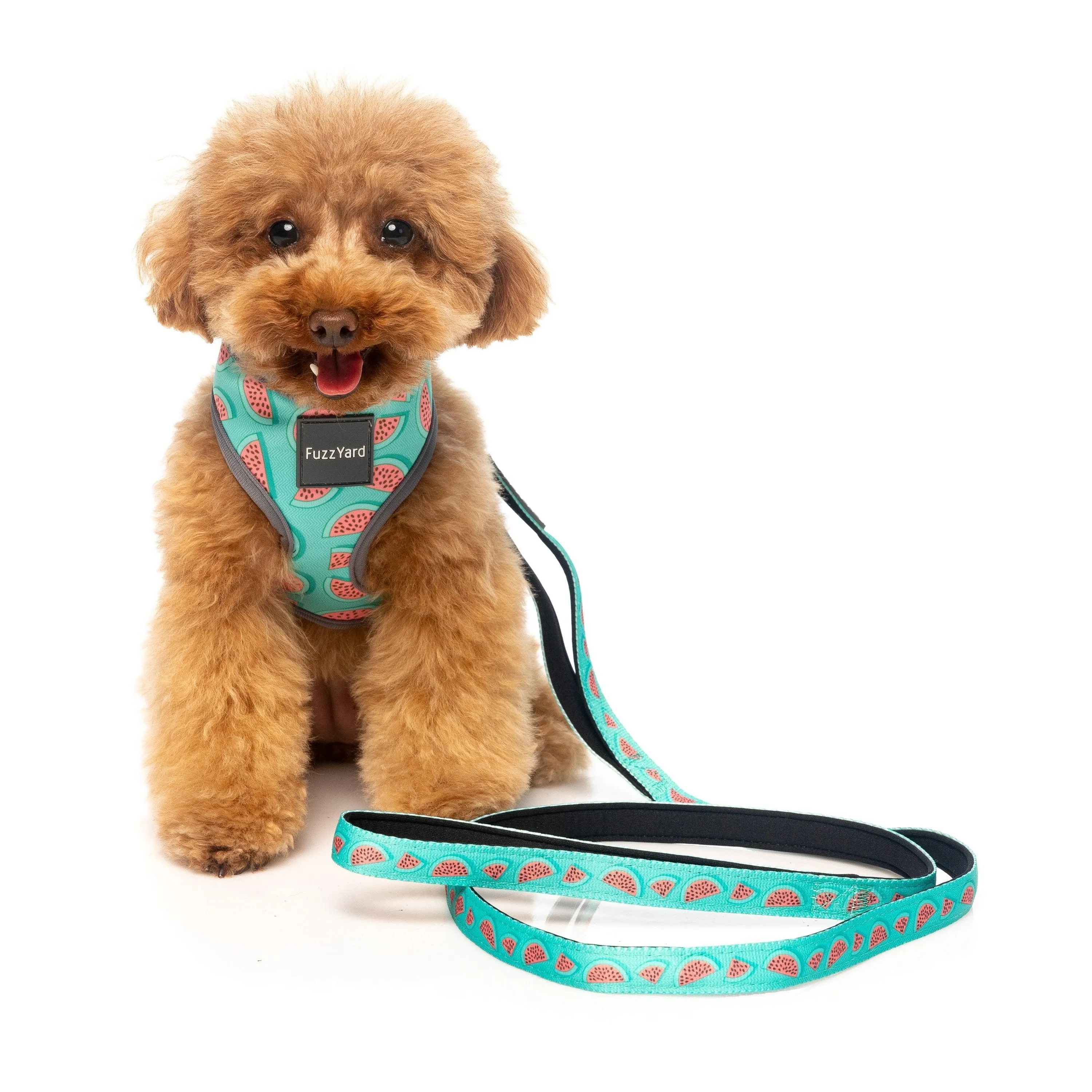 FuzzYard Dog Lead Summer Punch Small***