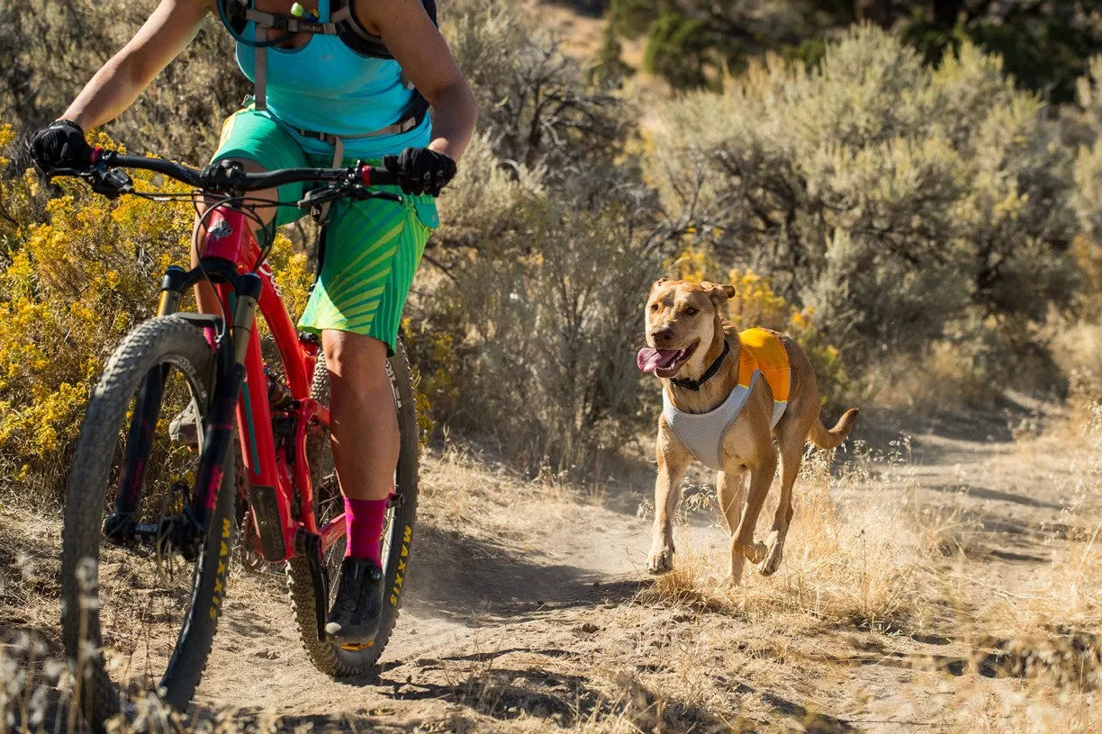 Jet Stream Dog Cooling Vest (Customer Return)